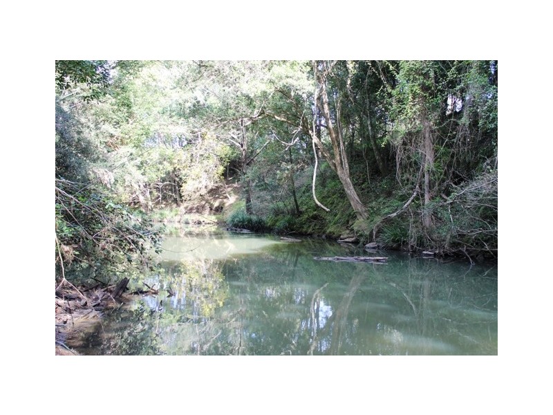 2210 Nimbin Road, Coffee Camp NSW 2480