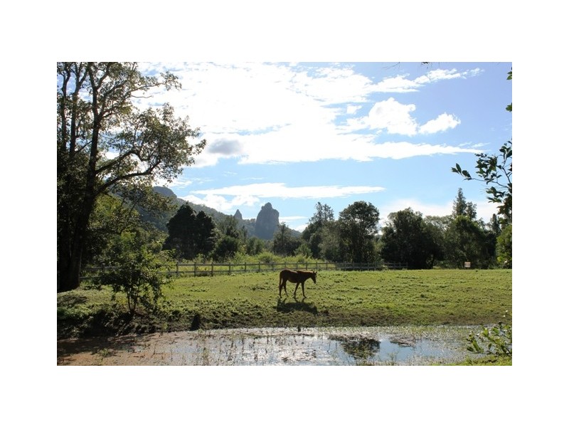 2210 Nimbin Road, Coffee Camp NSW 2480