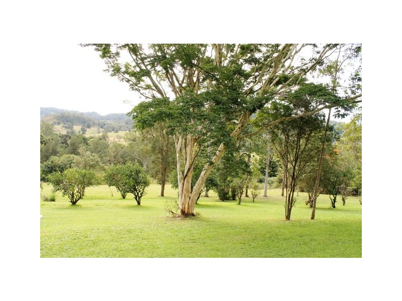 2 Stead Road, Goolmangar NSW 2480