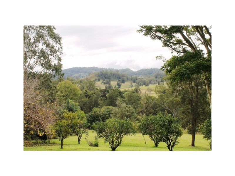 2 Stead Road, Goolmangar NSW 2480