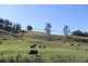 190 Bice Road, Leycester NSW 2480