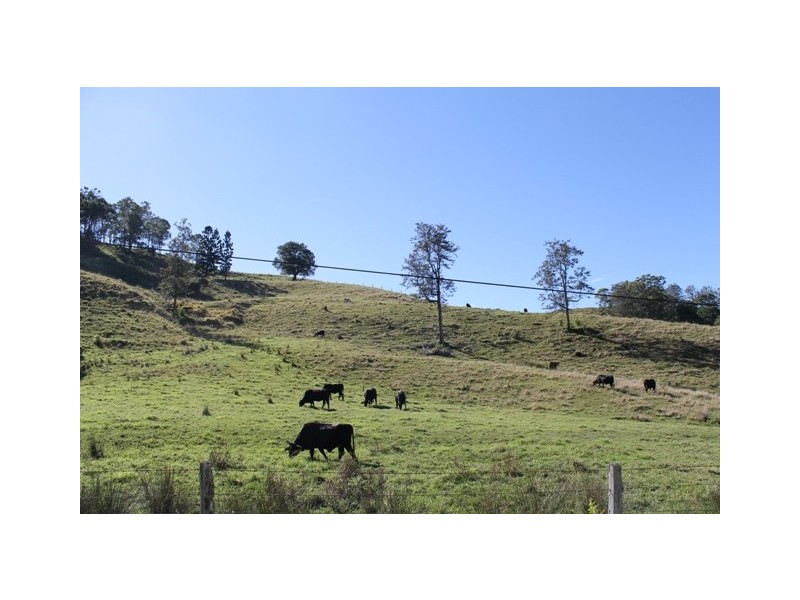 190 Bice Road, Leycester NSW 2480