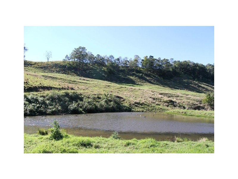 190 Bice Road, Leycester NSW 2480