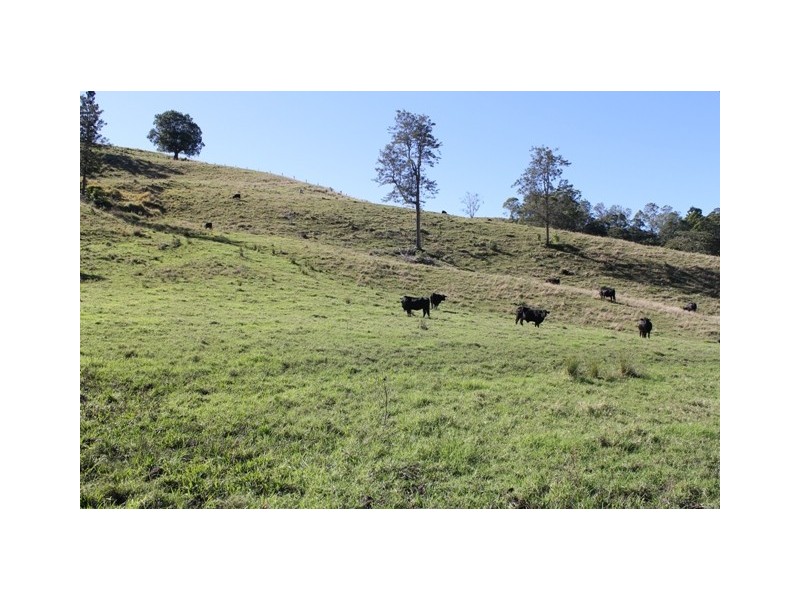 190 Bice Road, Leycester NSW 2480