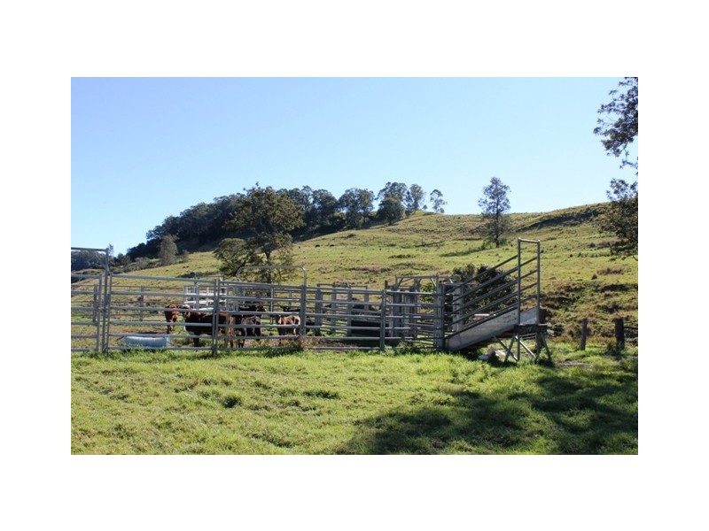 190 Bice Road, Leycester NSW 2480