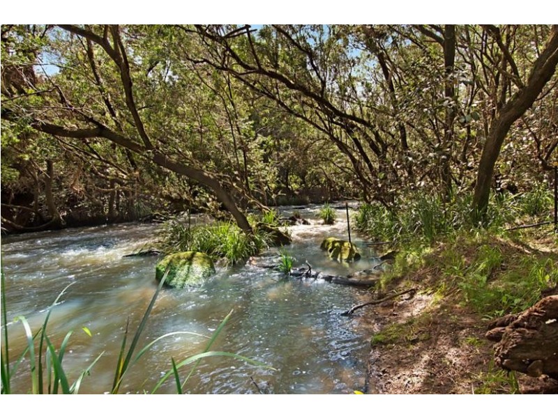 274 Chelmsford Road, Rock Valley NSW 2480