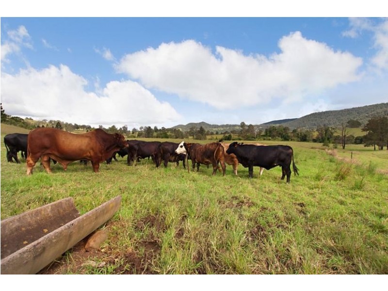 274 Chelmsford Road, Rock Valley NSW 2480