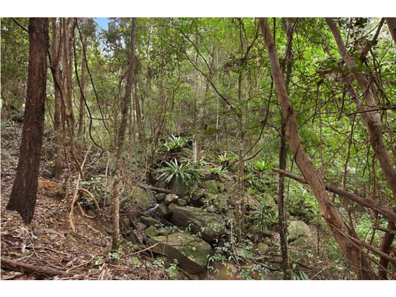 274 Chelmsford Road, Rock Valley NSW 2480