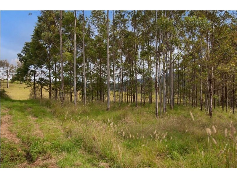 274 Chelmsford Road, Rock Valley NSW 2480