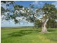 829 Rogerson Road, Mckees Hill NSW 2480