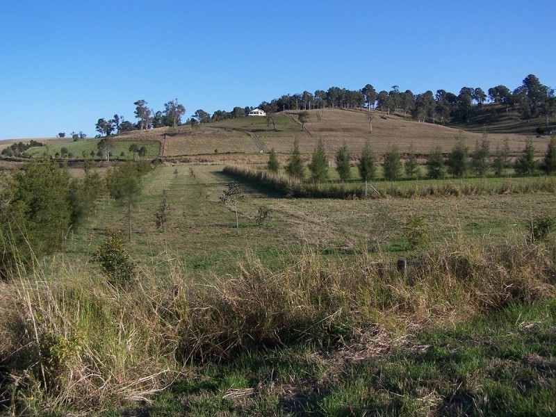 Lot 12,  Pines Road, Edenville NSW 2474