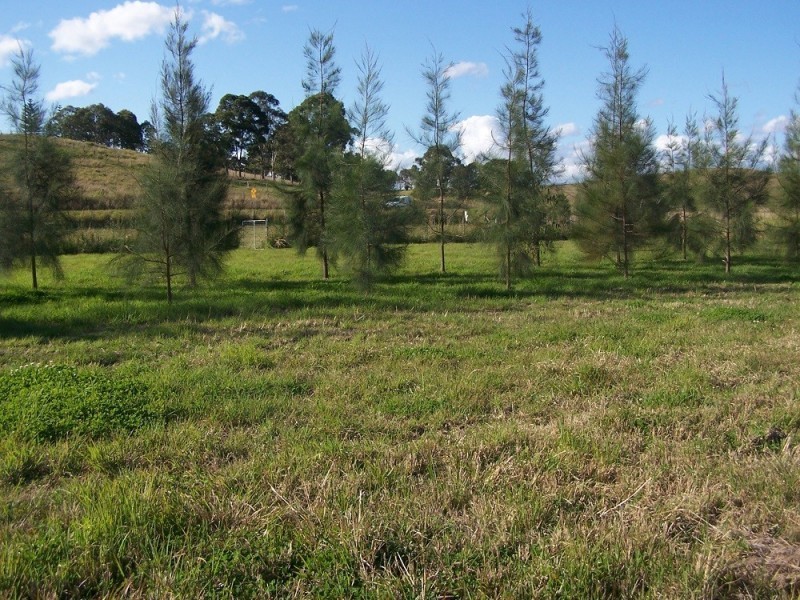 Lot 12,  Pines Road, Edenville NSW 2474