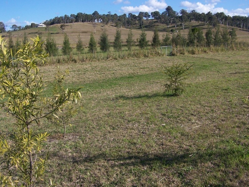 Lot 12,  Pines Road, Edenville NSW 2474