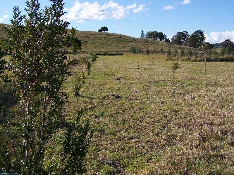 Lot 12,  Pines Road, Edenville NSW 2474