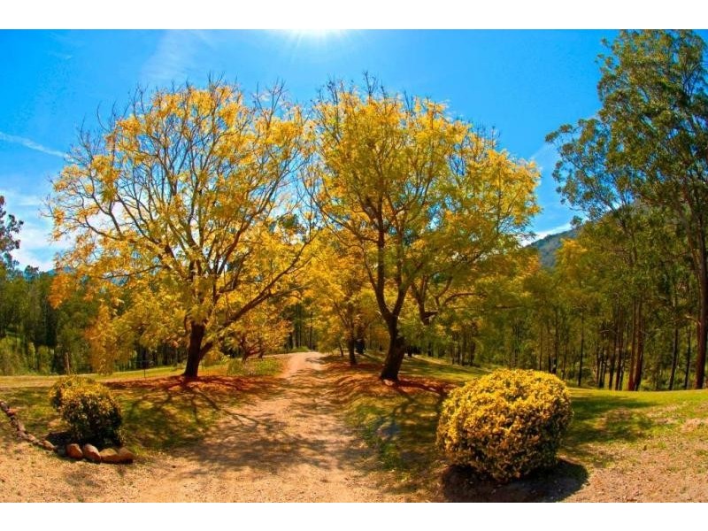 1021e Long Gully Road, Drake NSW 2469