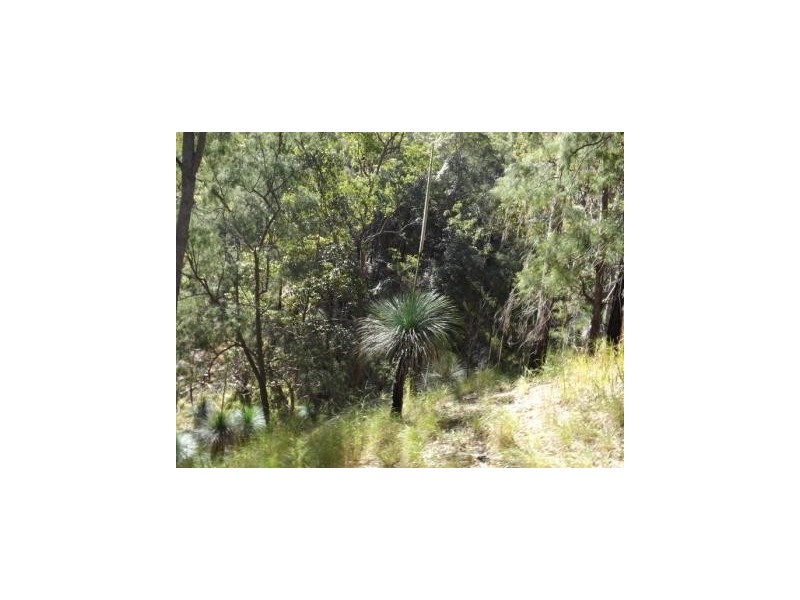 1021e Long Gully Road, Drake NSW 2469