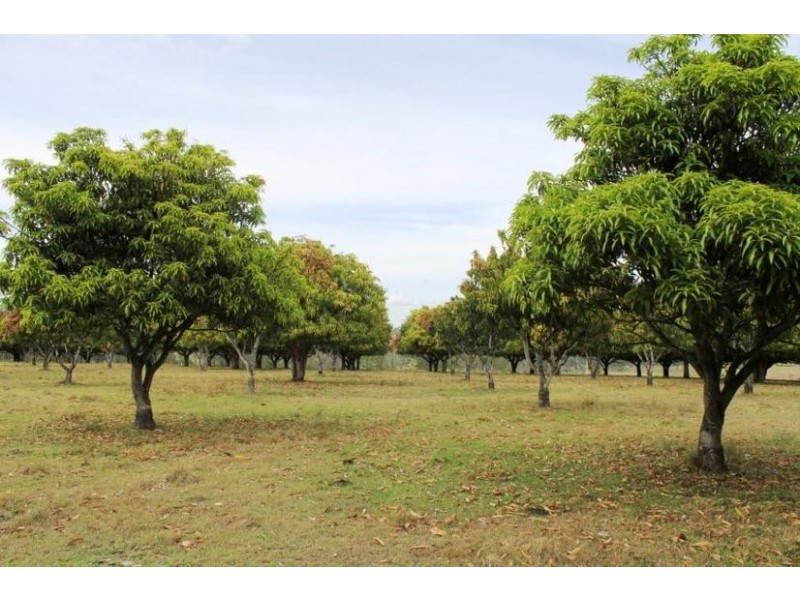 80 Emu Park Road, Ellangowan NSW 2470