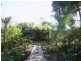 973 Jiggi Road, Jiggi NSW 2480