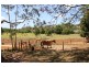 9 Willow Tree Drive, Chilcotts Grass NSW 2480