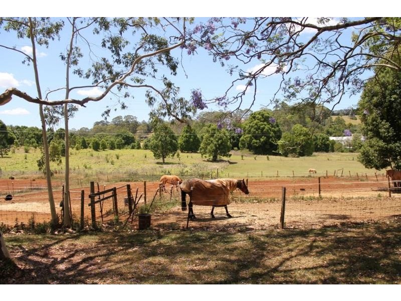 9 Willow Tree Drive, Chilcotts Grass NSW 2480