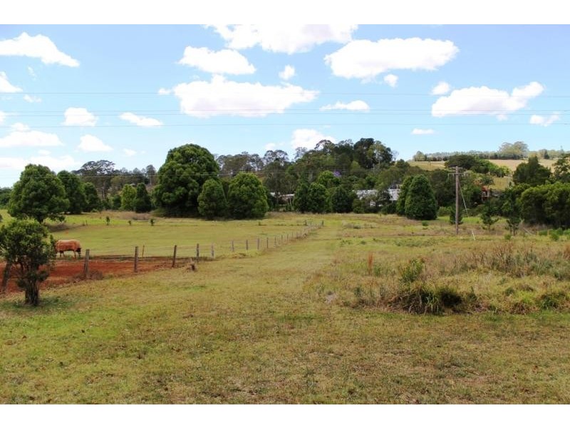 9 Willow Tree Drive, Chilcotts Grass NSW 2480