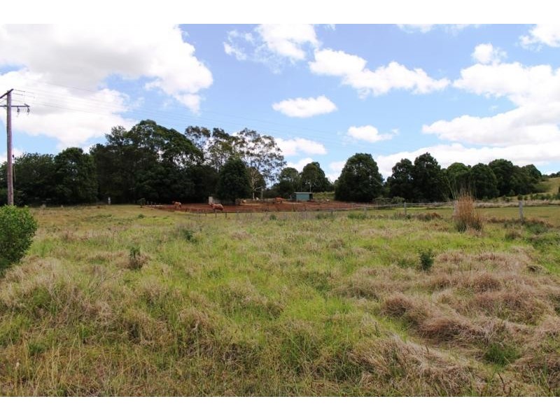 9 Willow Tree Drive, Chilcotts Grass NSW 2480