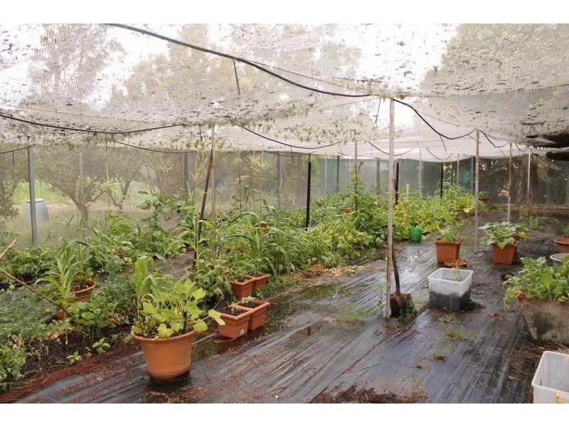 50 Backmede Road, Backmede NSW 2470