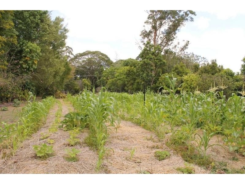 50 Backmede Road, Backmede NSW 2470