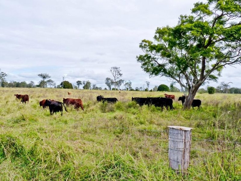 Lot 31,  Fogwells Road, Yorklea NSW 2470