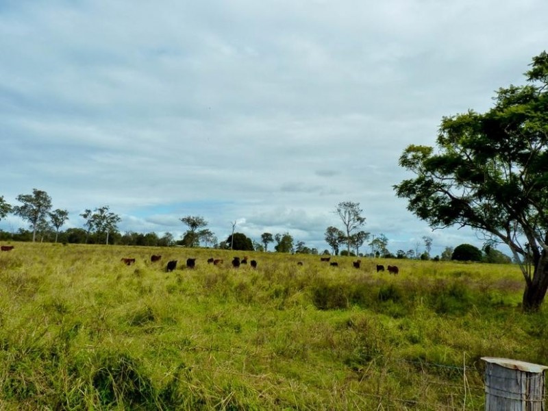 Lot 31,  Fogwells Road, Yorklea NSW 2470