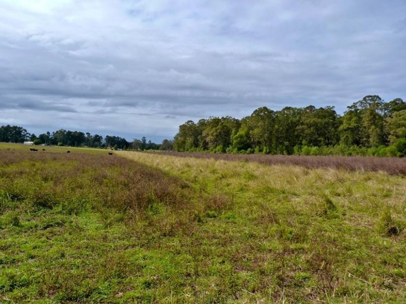 Lot 31,  Fogwells Road, Yorklea NSW 2470