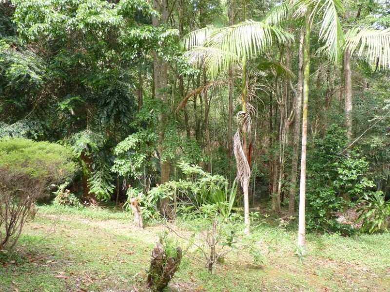 82A Invercauld Road, Goonellabah NSW 2480