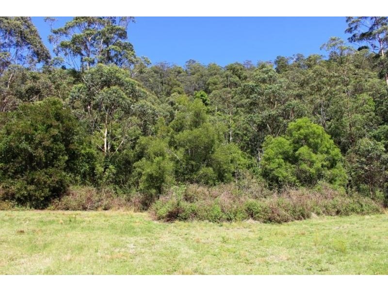 Iron Pot Road, Babyl Creek, Dyraaba NSW 2470