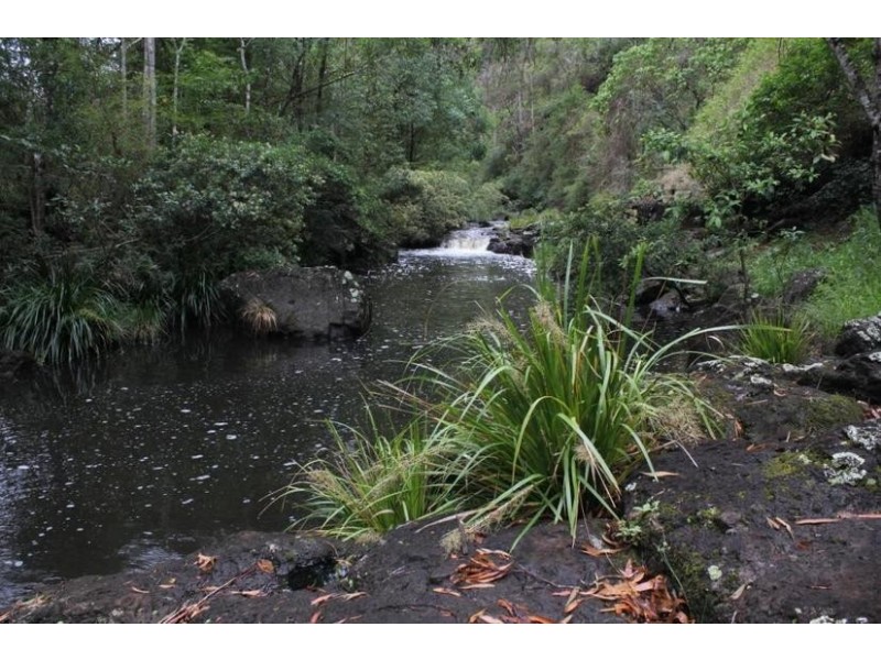 624 Tuntable Creek Road, The Channon NSW 2480