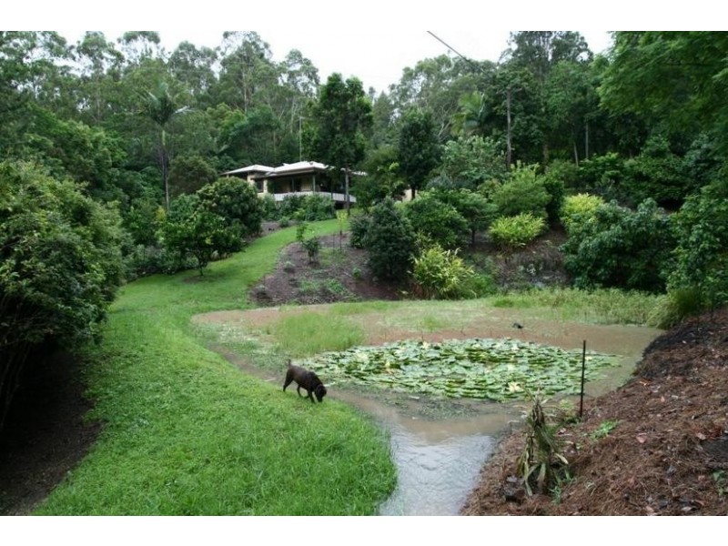 624 Tuntable Creek Road, The Channon NSW 2480