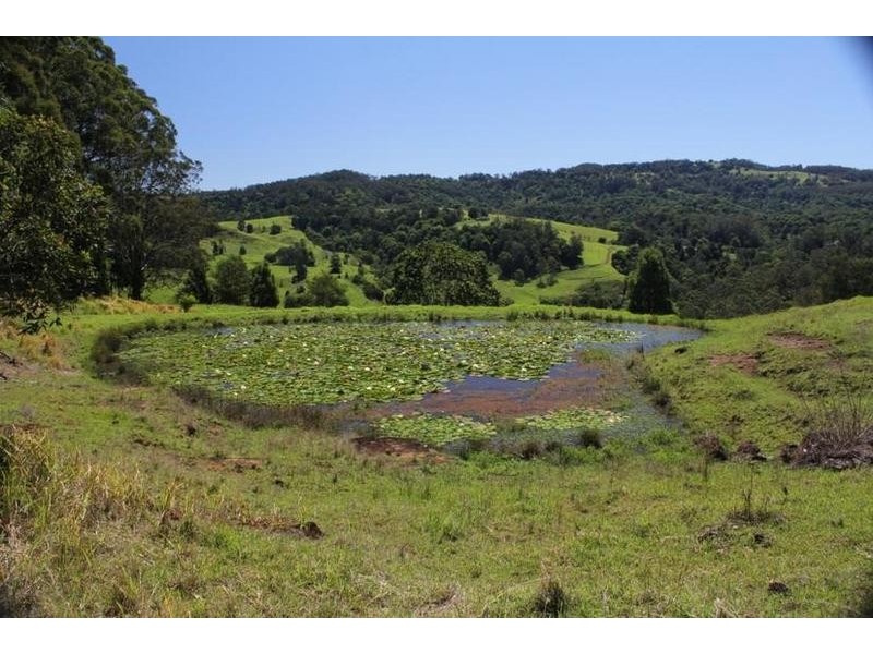 624 Tuntable Creek Road, The Channon NSW 2480