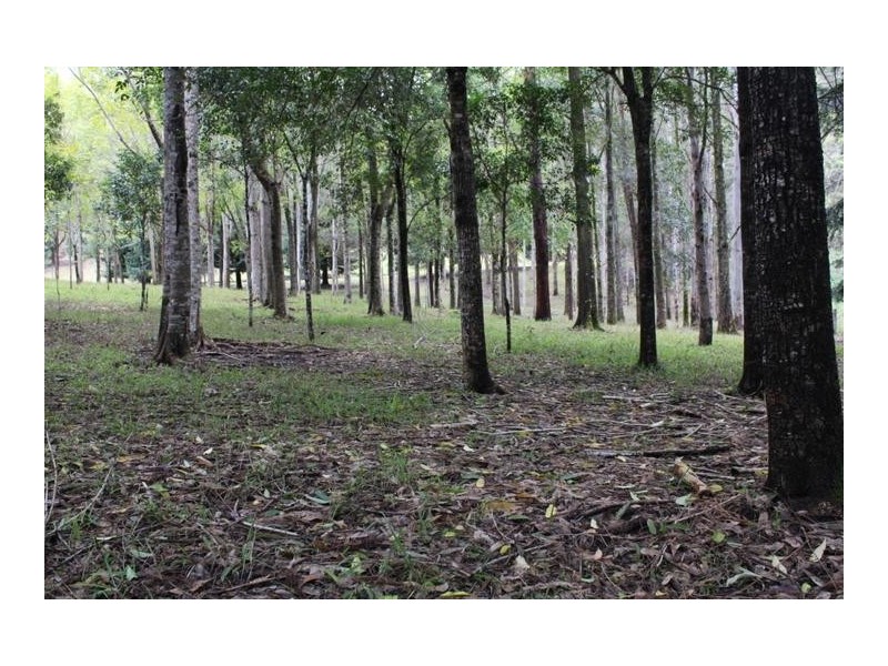 624 Tuntable Creek Road, The Channon NSW 2480