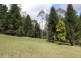 624 Tuntable Creek Road, The Channon NSW 2480
