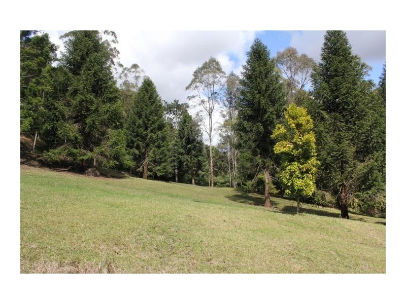 624 Tuntable Creek Road, The Channon NSW 2480