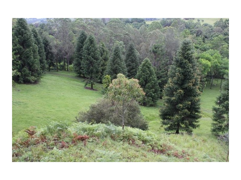 624 Tuntable Creek Road, The Channon NSW 2480