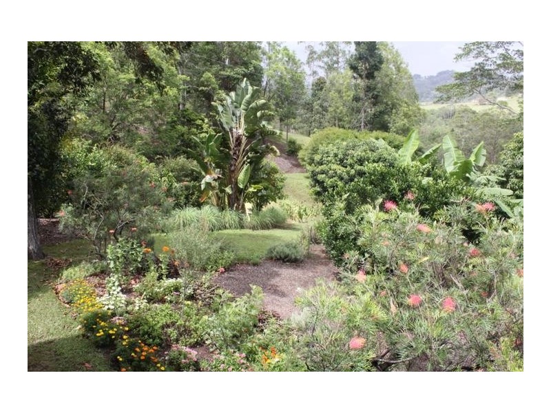 624 Tuntable Creek Road, The Channon NSW 2480