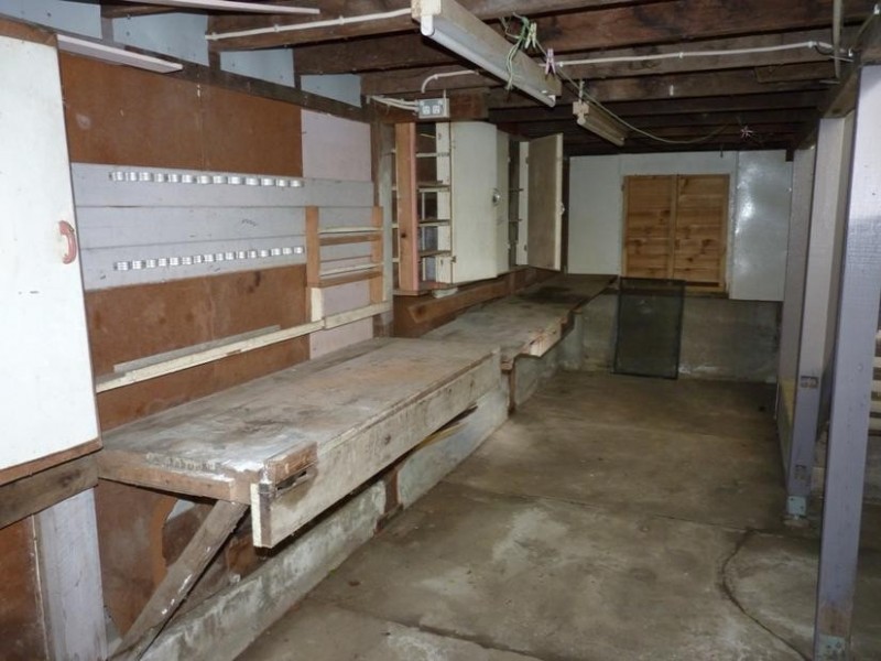 28 Cullen Street, Nimbin NSW 2480