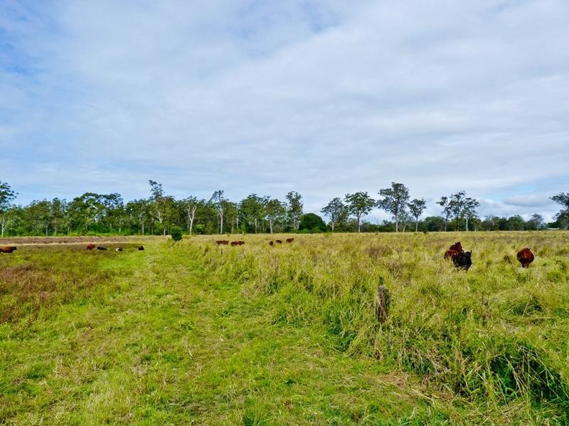 Lot 33,  Fogwells Road, Yorklea NSW 2470