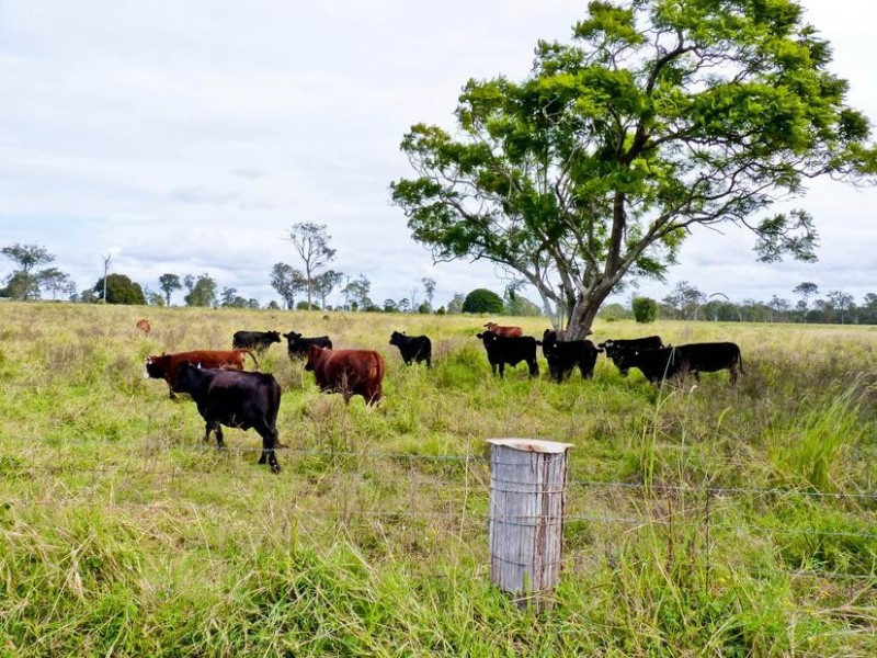 Lot 33,  Fogwells Road, Yorklea NSW 2470