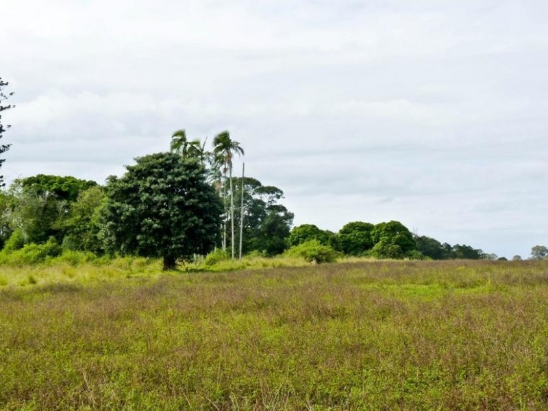 Lot 33,  Fogwells Road, Yorklea NSW 2470