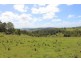 394 Skyline Road, Monaltrie NSW 2480