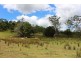 1241 Keerrong Road, Keerrong NSW 2480