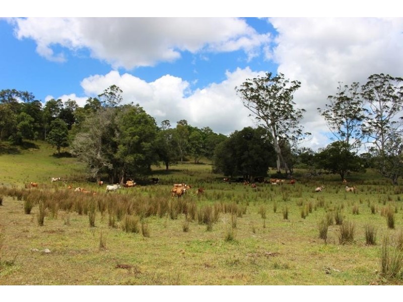 1241 Keerrong Road, Keerrong NSW 2480