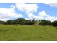 1241 Keerrong Road, Keerrong NSW 2480