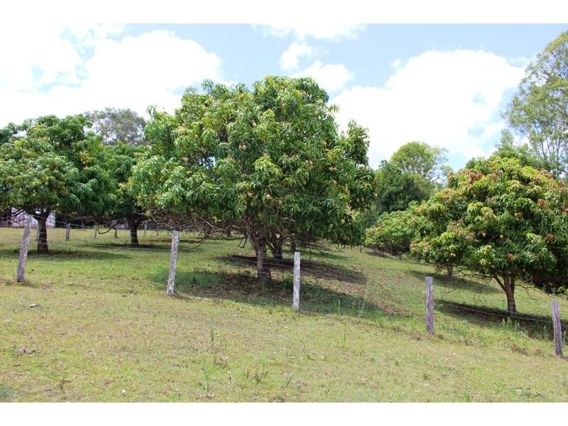 1241 Keerrong Road, Keerrong NSW 2480